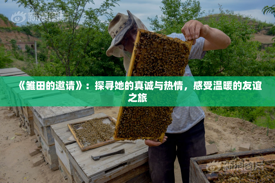 《雏田的邀请》：探寻她的真诚与热情，感受温暖的友谊之旅