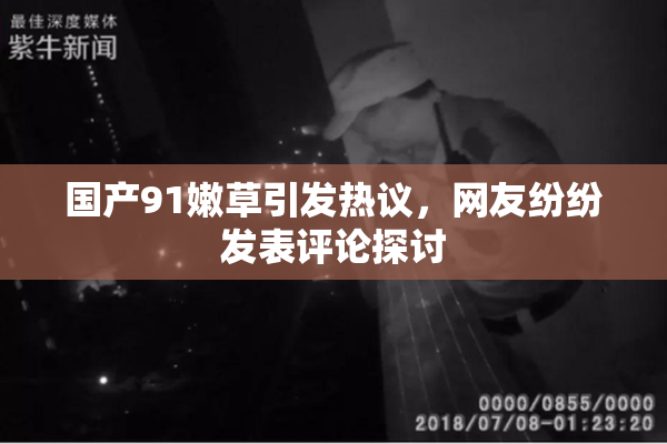 国产91嫩草引发热议，网友纷纷发表评论探讨