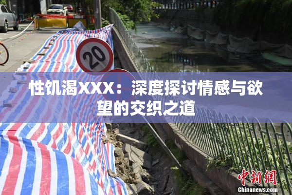 性饥渴XXX：深度探讨情感与欲望的交织之道