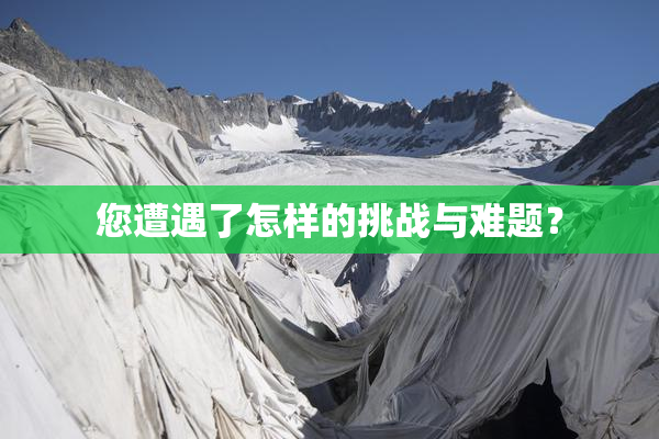 您遭遇了怎样的挑战与难题？