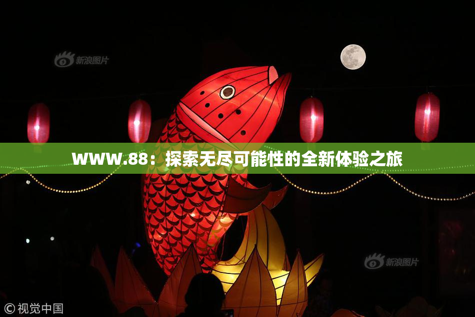 WWW.88：探索无尽可能性的全新体验之旅