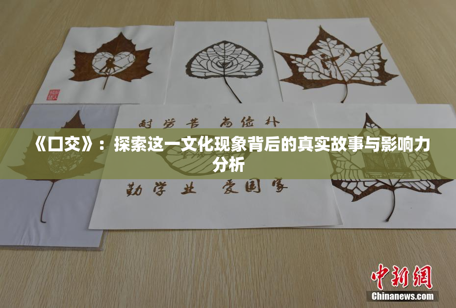 《囗交》：探索这一文化现象背后的真实故事与影响力分析
