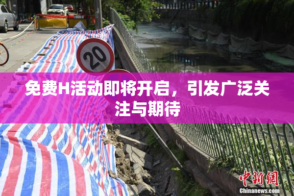免费H活动即将开启，引发广泛关注与期待