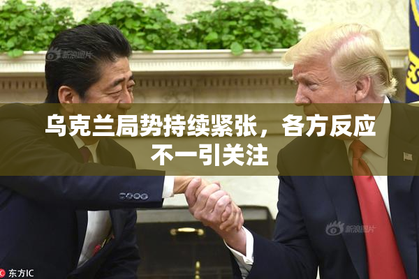 乌克兰局势持续紧张，各方反应不一引关注
