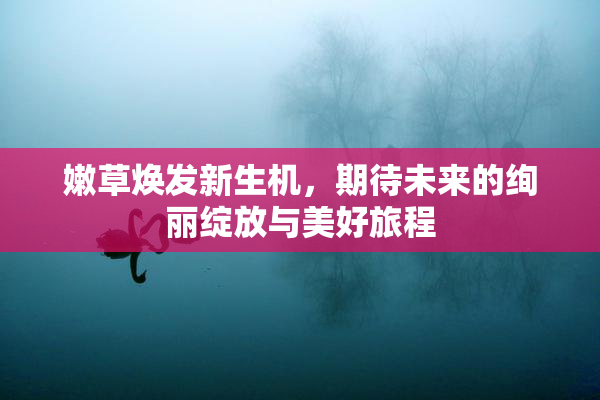嫩草焕发新生机，期待未来的绚丽绽放与美好旅程