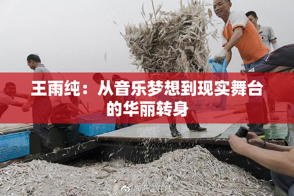 王雨纯：从音乐梦想到现实舞台的华丽转身