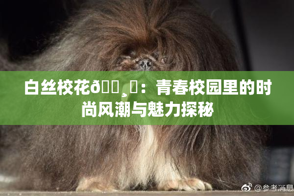 白丝校花🌸‌：青春校园里的时尚风潮与魅力探秘