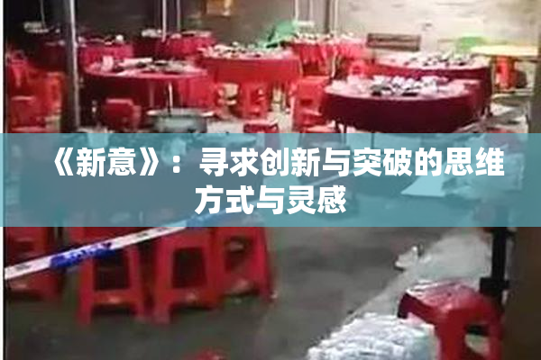 《新意》：寻求创新与突破的思维方式与灵感