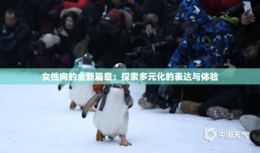 女性向的全新篇章：探索多元化的表达与体验
