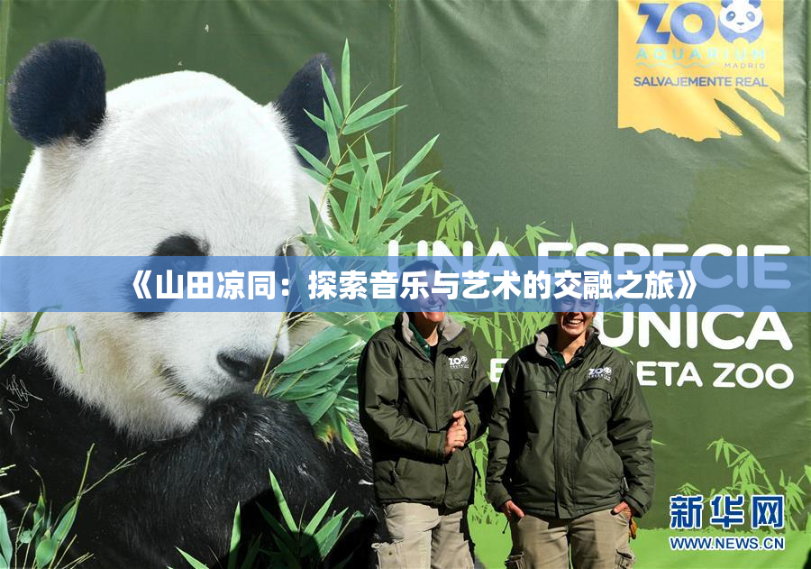 《山田凉同：探索音乐与艺术的交融之旅》