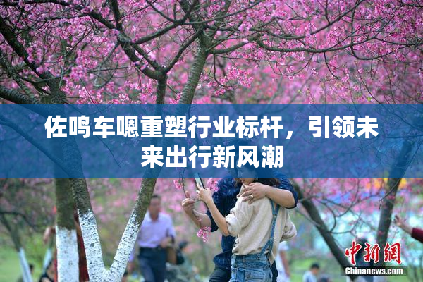 佐鸣车嗯重塑行业标杆，引领未来出行新风潮