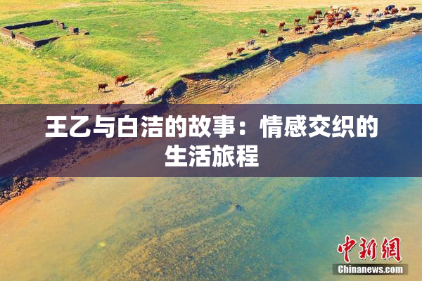 王乙与白洁的故事：情感交织的生活旅程