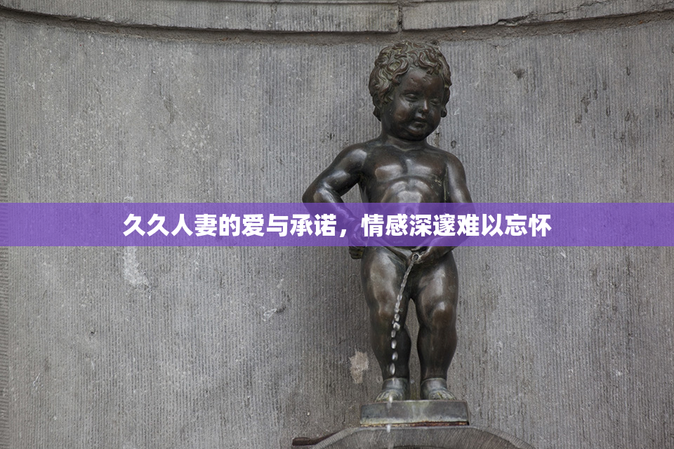 久久人妻的爱与承诺，情感深邃难以忘怀