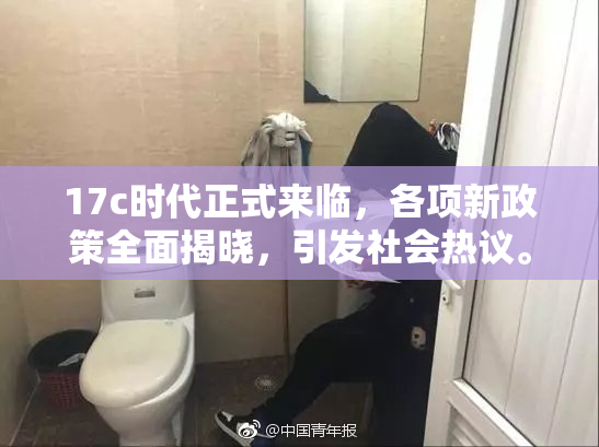17c时代正式来临，各项新政策全面揭晓，引发社会热议。