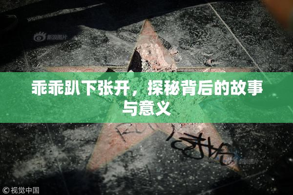 乖乖趴下张开，探秘背后的故事与意义