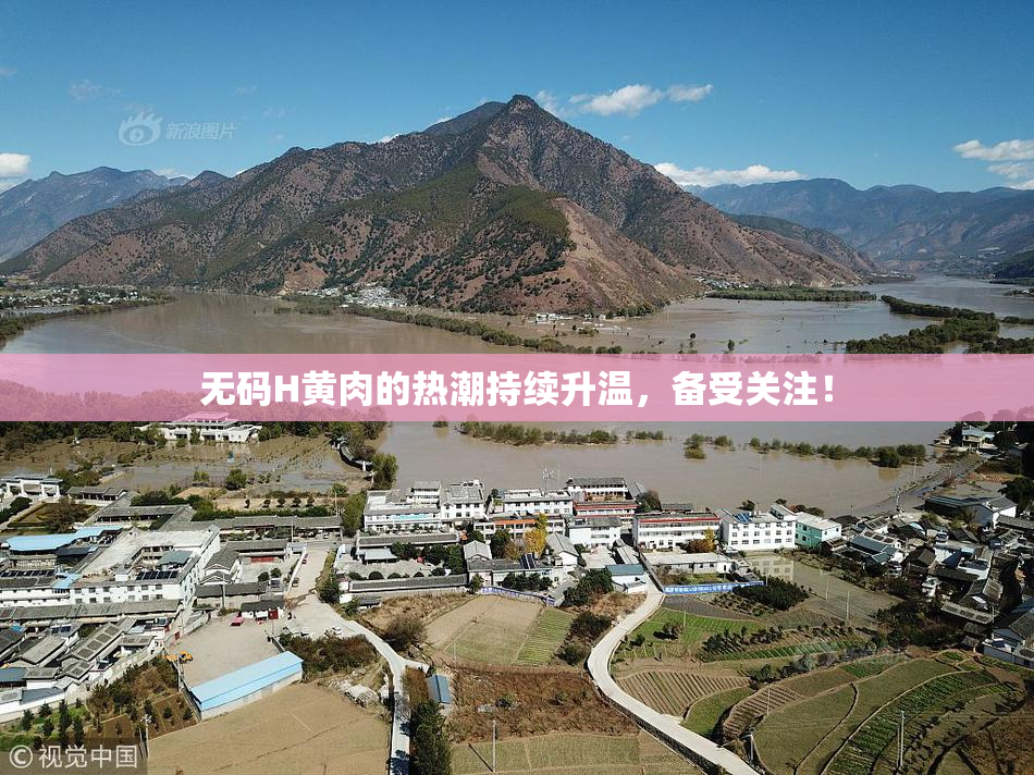 无码H黄肉的热潮持续升温，备受关注！