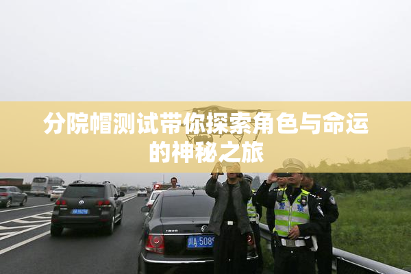 分院帽测试带你探索角色与命运的神秘之旅