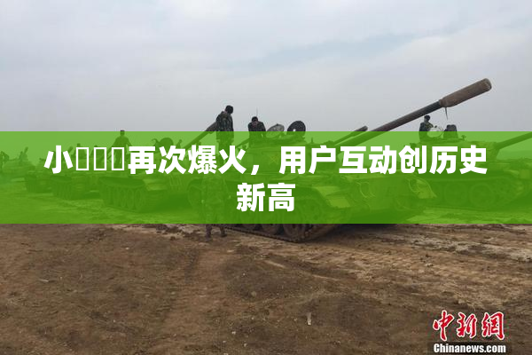 小藍視頻再次爆火，用户互动创历史新高