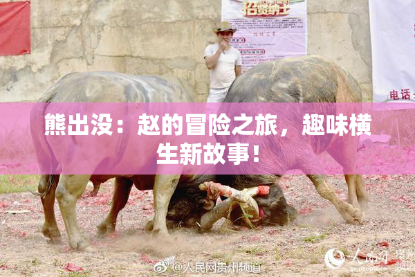 熊出没：赵的冒险之旅，趣味横生新故事！