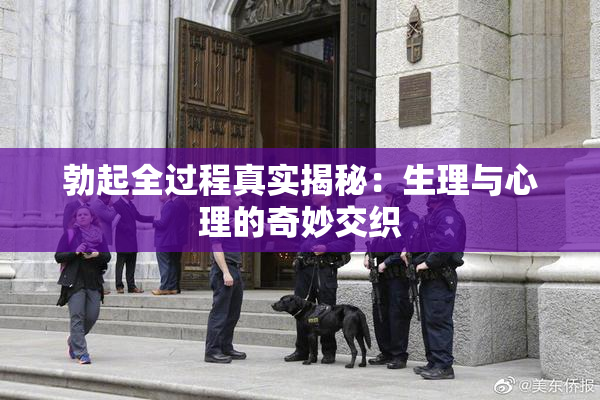 勃起全过程真实揭秘：生理与心理的奇妙交织
