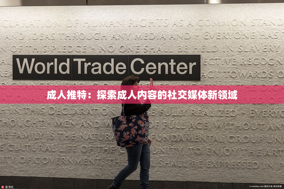 成人推特：探索成人内容的社交媒体新领域