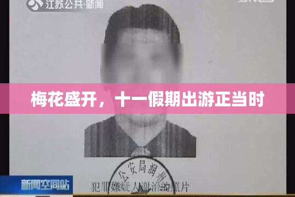 梅花盛开，十一假期出游正当时