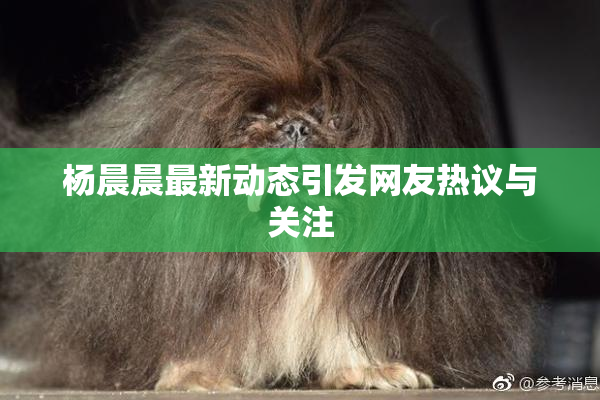 杨晨晨最新动态引发网友热议与关注