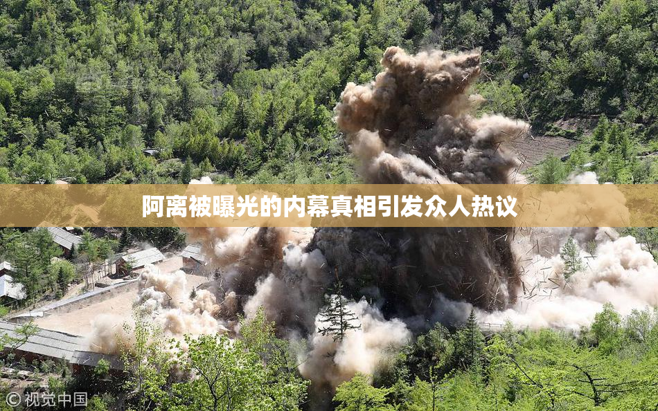 阿离被曝光的内幕真相引发众人热议