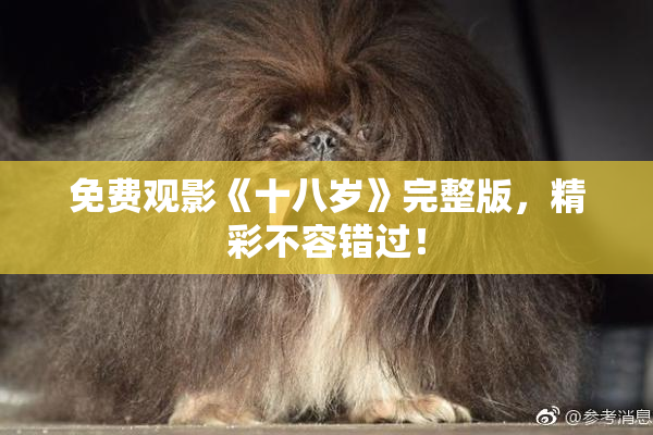 免费观影《十八岁》完整版，精彩不容错过！
