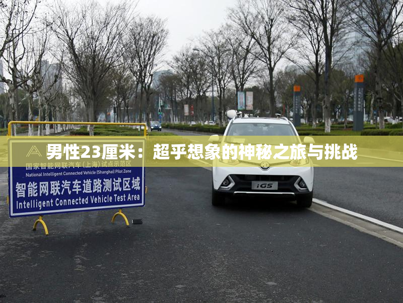 男性23厘米：超乎想象的神秘之旅与挑战