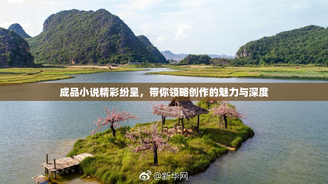 成品小说精彩纷呈，带你领略创作的魅力与深度