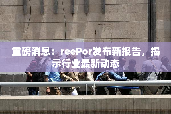 重磅消息：reePor发布新报告，揭示行业最新动态