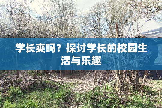 学长爽吗？探讨学长的校园生活与乐趣