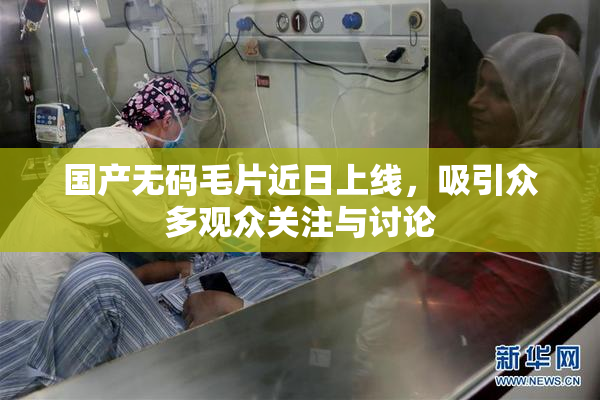 国产无码毛片近日上线，吸引众多观众关注与讨论
