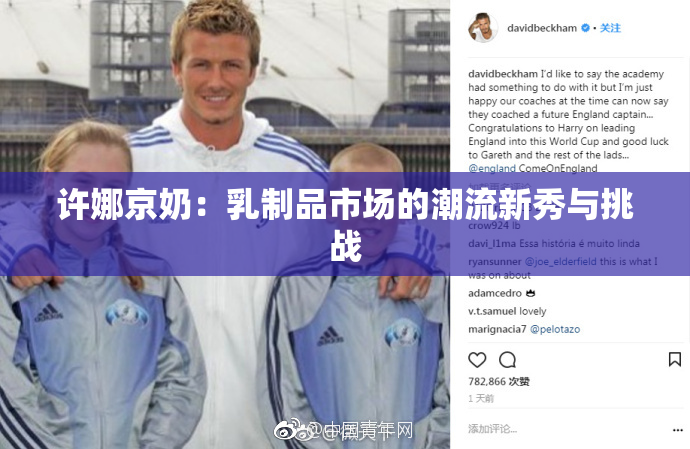 许娜京奶：乳制品市场的潮流新秀与挑战