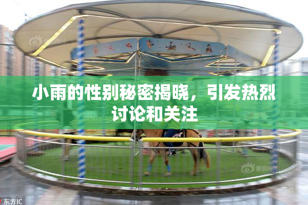 小雨的性别秘密揭晓，引发热烈讨论和关注