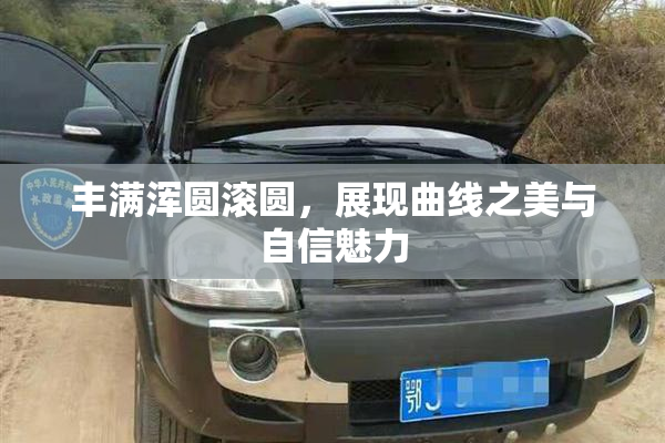 丰满浑圆滚圆，展现曲线之美与自信魅力