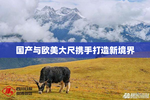 国产与欧美大尺携手打造新境界