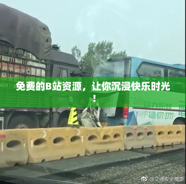 免费的B站资源，让你沉浸快乐时光！