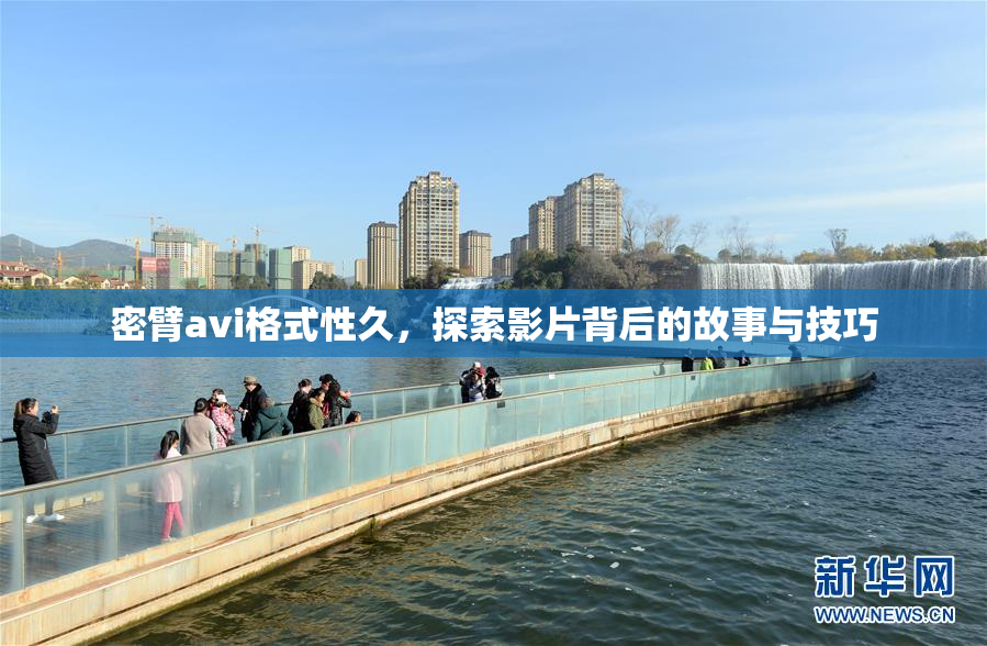 密臂avi格式性久，探索影片背后的故事与技巧
