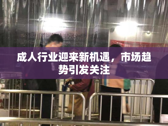 成人行业迎来新机遇，市场趋势引发关注