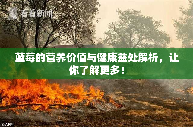 蓝莓的营养价值与健康益处解析，让你了解更多！