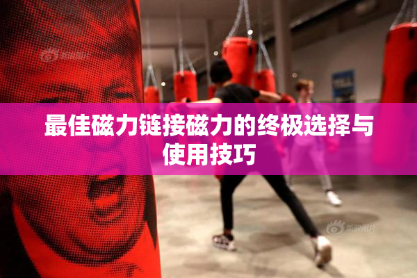 最佳磁力链接磁力的终极选择与使用技巧