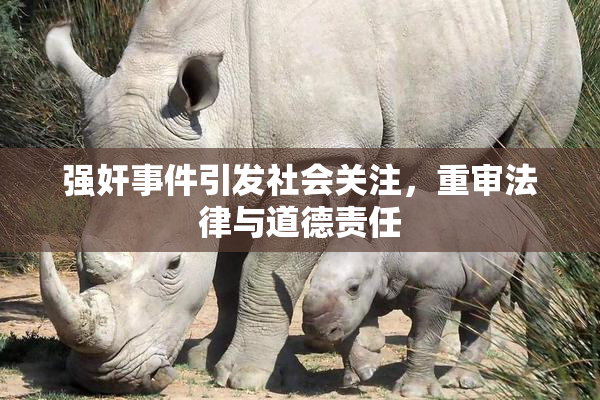 强奸事件引发社会关注，重审法律与道德责任