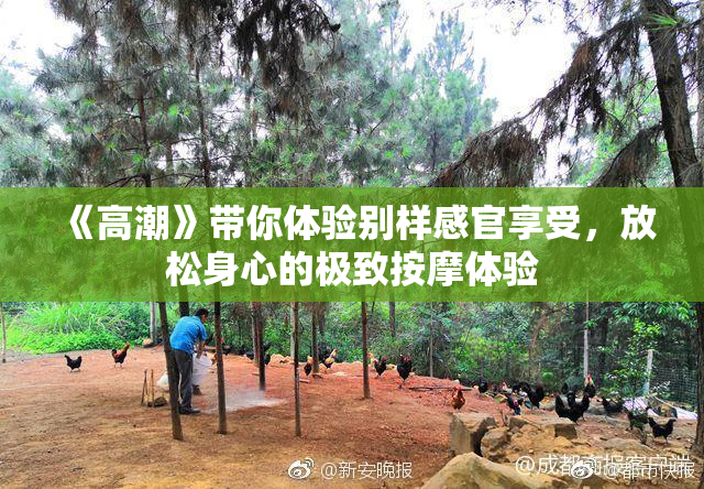 《高潮》带你体验别样感官享受，放松身心的极致按摩体验