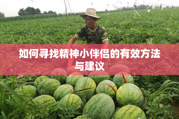 如何寻找精神小伴侣的有效方法与建议