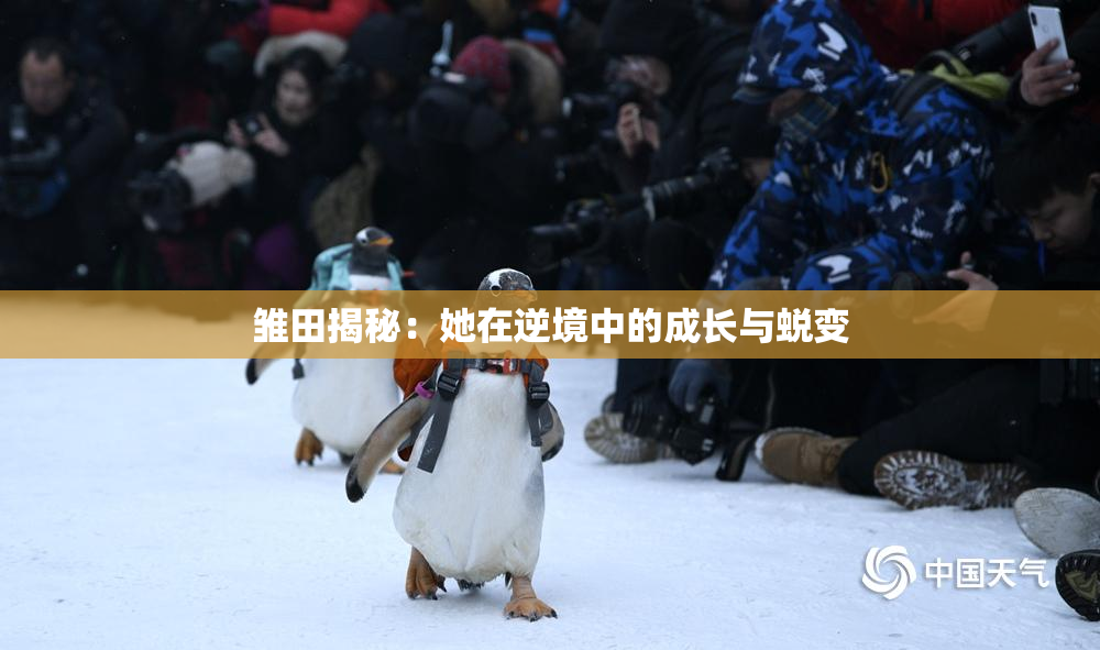 雏田揭秘：她在逆境中的成长与蜕变