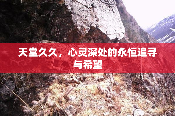 天堂久久，心灵深处的永恒追寻与希望