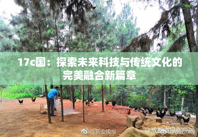 17c国：探索未来科技与传统文化的完美融合新篇章