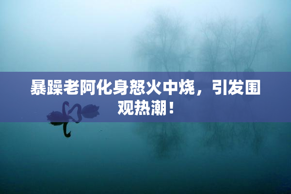 暴躁老阿化身怒火中烧，引发围观热潮！
